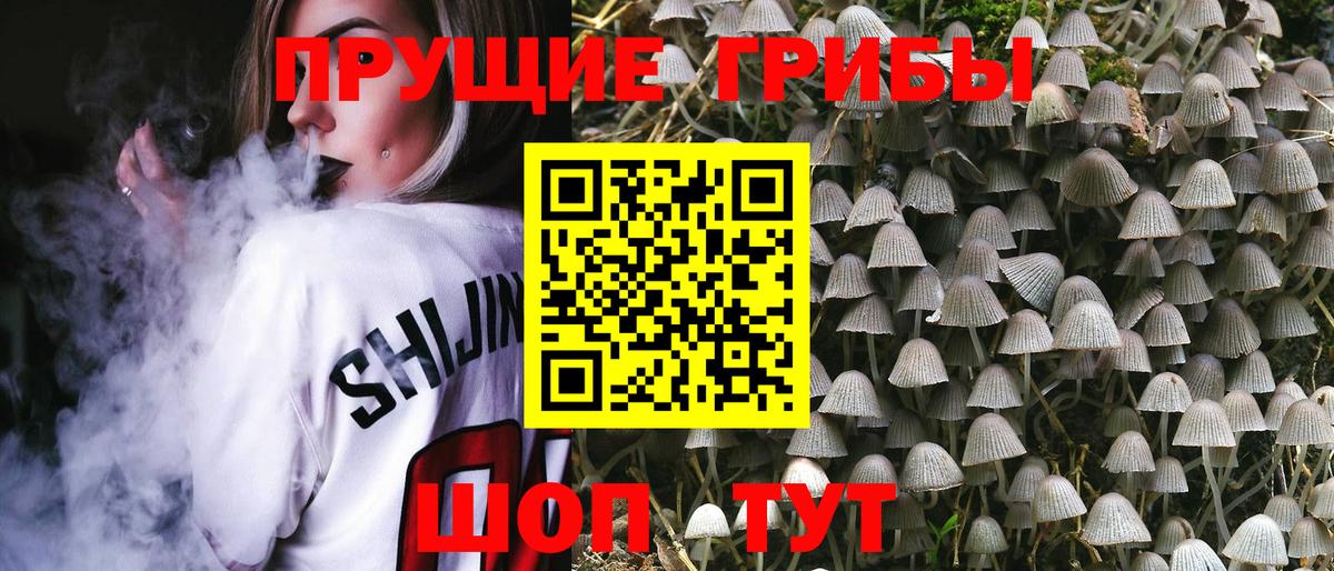 Галлюциногенные грибы GOLDEN TEACHER  Псилоцибиновые грибы Psilocybine cubensis  Балаково  Вход с VPN 