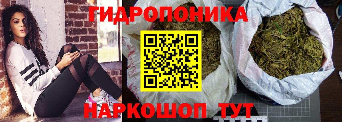Шишки марихуана конопля Балаково